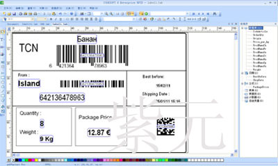 Teklynx CodeSoft 10.0 条码标签设计、打印和集成软件